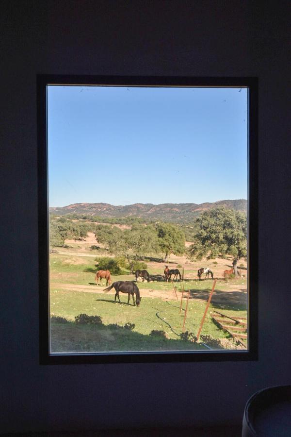 Finca Santa Maria De Las Canadas El Garrobo エクステリア 写真